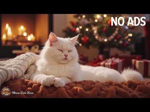 Calming Music for Cats 🐈Soft Music for Cats 😺 Stress Relief & Deep Sleep