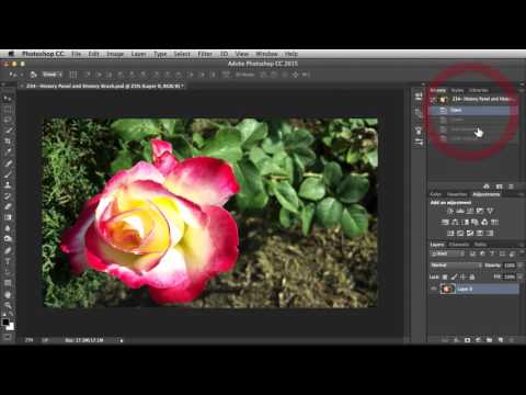 Adobe Photoshop "History Panel & History Brush" NSL WK 234