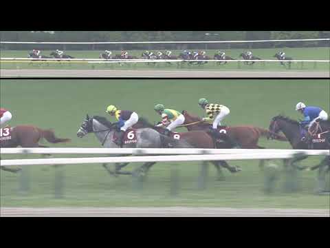 2019 Copa Republica Argentina (G2)