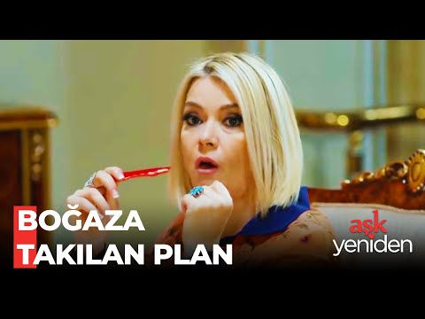 Mukaddesin Başarısız Planı - Aşk Yeniden