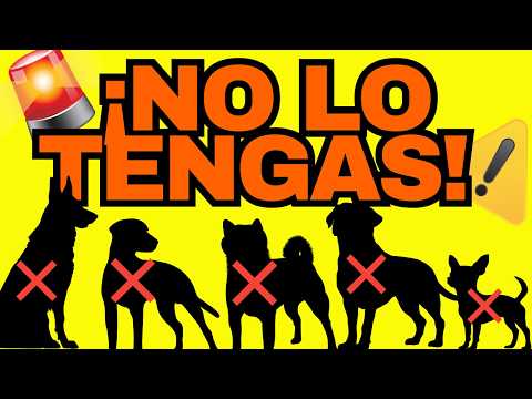 5 Dog Breeds You Should NOT Own (According to Veterinarians and Ethologists)