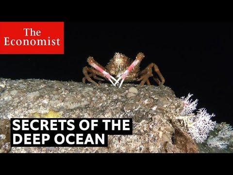 Secrets of the deep ocean