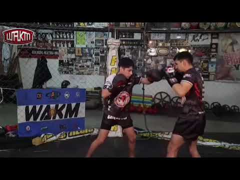 TSUKI COMBINACIONES DE GOLPES DE PUÑO 