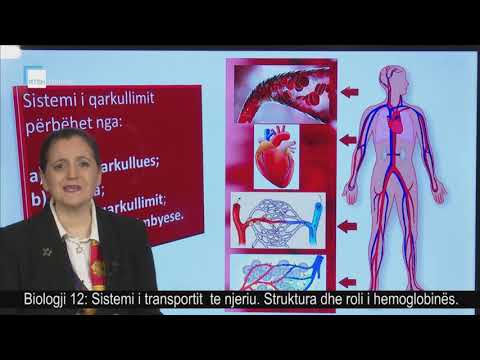 Biologji 12 - Sistemi i transportit  te njeriu. Struktura dhe roli i hemoglobinës.