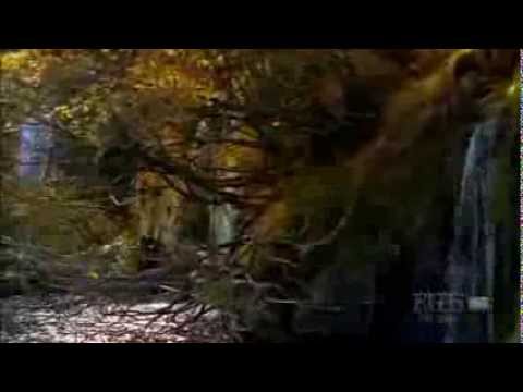 Pat Metheny - Country poem