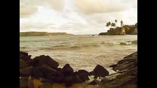 preview picture of video 'NATURE OF GALLE'