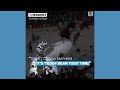 Hockey team celebrates with teddy bear toss - Video