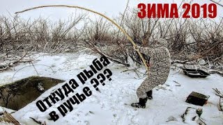 Рыболовные туры по россии зима