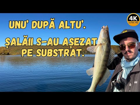 An INTENSE day at PIECE with the right LURE |4K|.