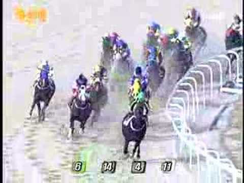 2008 Ttukseom Cup (G3) (2008.04.13, 7f)