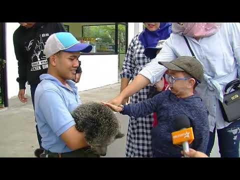 DAUS MINI AJAK ISTRI DAN ANAK BERLIBUR KE PUSAT ANEKA SATWA