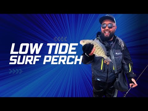 Is it worth fishing for surf perch at Low tide?