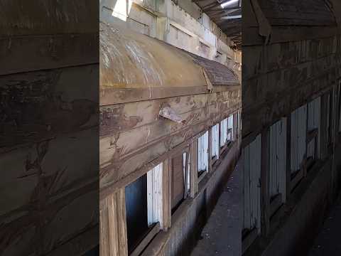 27/04/26, Araguari, MG.#turismo #viagem #araguari #minasgerais