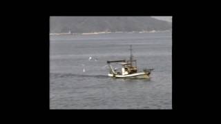 夫婦花道　　姿　勝大