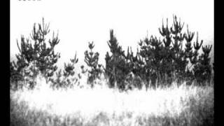 The Dodos - Don&#39;t Stop