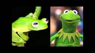 Jim Henson's Honky Tonk Piano Music