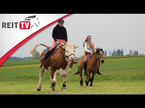 Vorstellung REITTV-Community | Lunschen1