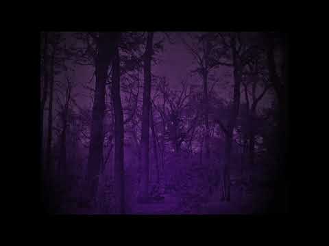 Livsnekad  -  I Verklighetens Kval