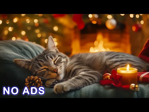 Cat Sleep Music 😻 Fireplace Ambience 🔥 Cozy Piano Sounds for Cat Stress Relief