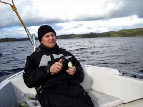 Loskapaukut - Kesä Kalastusta