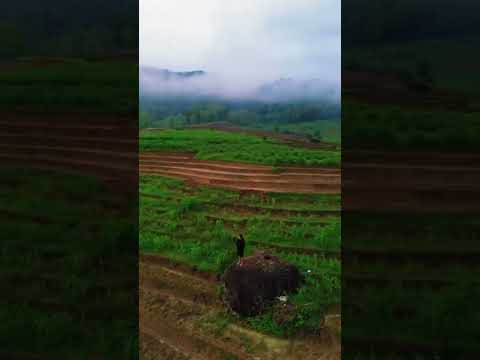 alam indonesia #naturelovers #naturephotography #vibes