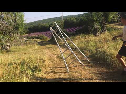 caroline - BRJ (Official Audio)