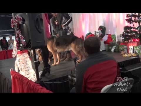 Krazy Kaine and Legendary Lucky Perform at the 4th Annual Holiday Pet Festival 2013