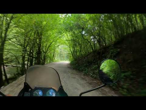 Riding the Autumn Romanian Forests Alone