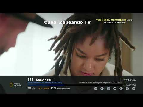 PROGRAMAÇÃO TV SÁBADO 26 08 2023