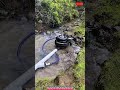 Water Wheel Pump – Free Energy Machine Using River Flow