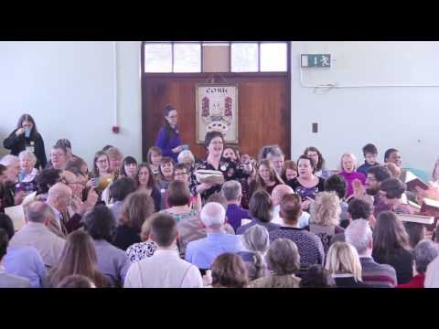 282 I'm Going Home - The Seventh Ireland Sacred Harp Convention, 2017 (Saturday) HD