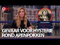 Gevaar voor hysterie rond apenpokkenvirus - Ongehoord Nieuws