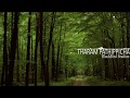 Tharam Pathippicha Koodaram Whatsapp Song Status BlackBird Studioz
