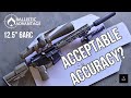 Lohnt Sich Der Ballistic Advantage 6ARC Lauf Abschließender Genauigkeitstest