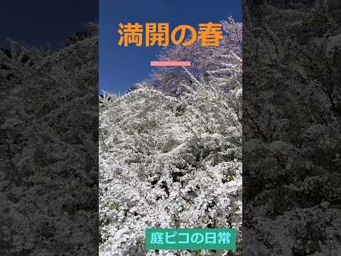 コールドフレームの作り方は？春に向けて準備万端！  庭園