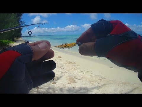 ultra light fishing soft bait challenge