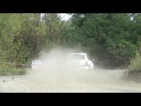 2 Runda Rally Park Cup   Piotr Wiśniewski   Renault Clio