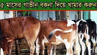 ডেইরি ফার্ম