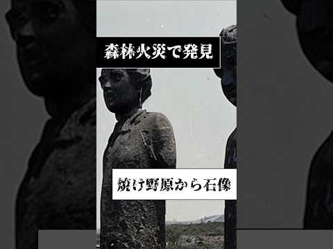海洋肥料としての森林火災