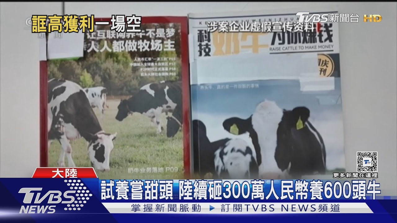 4人集團吸金22.7億!雲端認養600頭牛變6萬斤牛肉 受害人驚覺受騙
