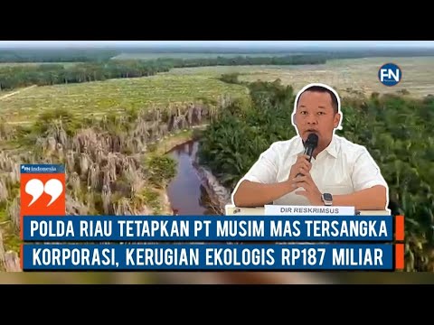 Polda Riau Tetapkan PT Musim Mas Tersangka Korporasi, Kerugian Ekologis Rp187 Miliar