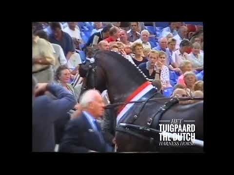 Jonker - Prijs der Besten, UTV 1999