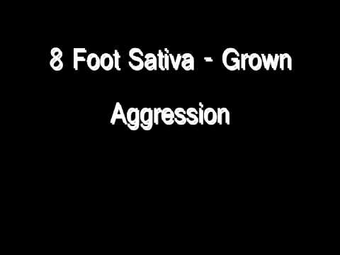 Grown Aggression video thumbnail