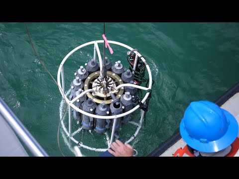 The Water School: Red Tide