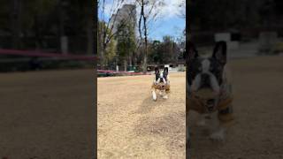 冬の公園も気持ち良い♪