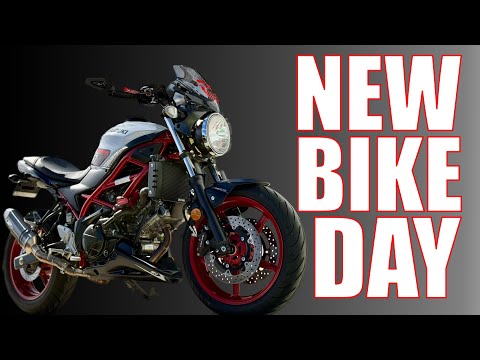 4th Gen Suzuki SV650: Did I Make A Mistake ?