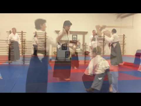 Zimron Sensei at Traditional Aikido, Sarasota FL 1-2-17