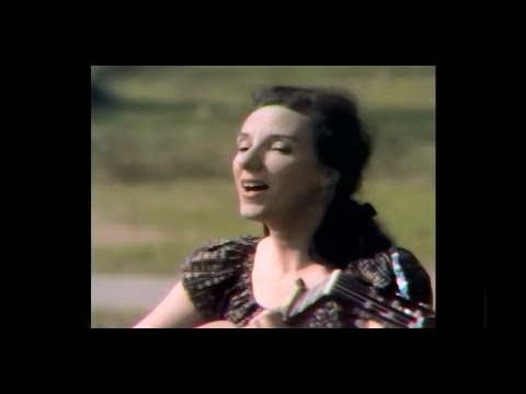 Sonia Malkine - Le Vin Gaulois