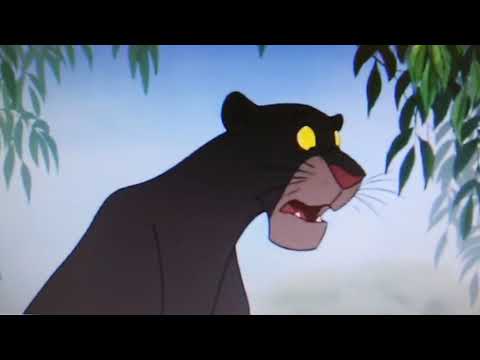 Beauty and the panda part 14 "Be Our Guest "