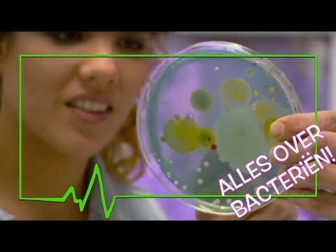 WAT DOEN BACTERIËN?! - TOPDOKS ONDERZOEK